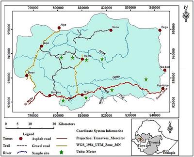 Coffee Agroforestry and the Food and Nutrition Security of Small Farmers of South-Western Ethiopia